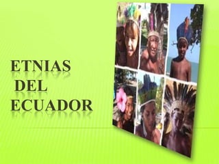 ETNIAS
DEL
ECUADOR
 