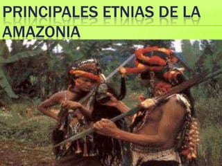 PRINCIPALES ETNIAS DE LA
AMAZONIA
 