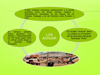 Pueblo indígena americano perteneciente a la familia
                  jivaroana como los Shuar, Shiwiar, Awajunt y
                  Wampis(Perú). Asentados en las riberas del río
                  Pastaza, Huasaga y en las fronteras entre Ecuador y
                  Perú




En     tiempos     pasados                                    El vocablo "Achuar" tiene
fueron     guerreros  muy                                      su origen en el nombre
temidos tradicionalmente              LOS                     de las grandes palmeras
por los Shuar según ellos
un achuar podía seguir a
                                    ACHUAR                         llamadas "Achu"
su       enemigo     hasta
aniquilarlo




                                             .
 