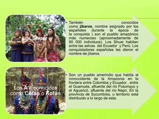 • También                       conocidos
                        como jíbaros, nombre asignado por los
                        españoles durante la época de
                        la conquista ) son el pueblo amazónico
    Los Shuar           más numeroso (aproximadamente de
                        80 000 individuos). Los Shuar habitan
                        entre las selvas del Ecuador y Perú. Los
                        conquistadores españoles les dieron el
                        nombre de jíbaros.




                      • Son un pueblo amerindio que habita al
                        noroccidente de la Amazonia en la
                        frontera entre Colombia y Ecuador , entre
 Los A'i, conocidos     el Guamués, afluente del río Putumayo y
                        el Aguaricó, afluente del río Napo. En la
como Cofán o Kofán      provincia de Sucumbíos. u territorio está
                        distribuido a lo largo de esta.
 