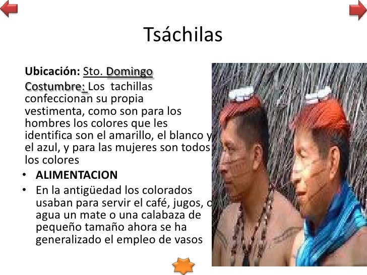 El aceite para los cabellos los cabellos hermosos