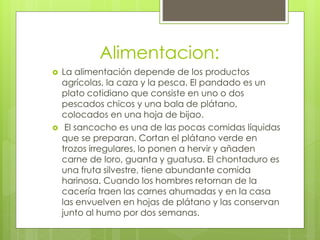 Alimentacion:
 La alimentación depende de los productos
agrícolas, la caza y la pesca. El pandado es un
plato cotidiano que consiste en uno o dos
pescados chicos y una bala de plátano,
colocados en una hoja de bijao.
 El sancocho es una de las pocas comidas líquidas
que se preparan. Cortan el plátano verde en
trozos irregulares, lo ponen a hervir y añaden
carne de loro, guanta y guatusa. El chontaduro es
una fruta silvestre, tiene abundante comida
harinosa. Cuando los hombres retornan de la
cacería traen las carnes ahumadas y en la casa
las envuelven en hojas de plátano y las conservan
junto al humo por dos semanas.
 