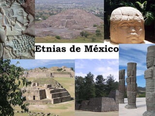 Etnias de México 