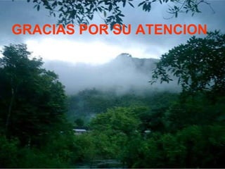 GRACIAS POR SU ATENCION 
