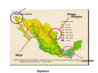 Cucapá Kikapú /Kikapoa Mayo Zapoteco Lacandon 