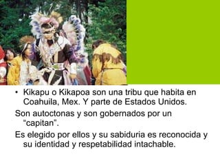 Kikapu o Kikapoa son una tribu que habita en Coahuila, Mex. Y parte de Estados Unidos. Son autoctonas y son gobernados por un “capitan”. Es elegido por ellos y su sabiduria es reconocida y su identidad y respetabilidad intachable. 