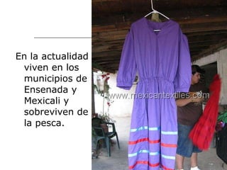 <ul><li>En la actualidad viven en los municipios de Ensenada y Mexicali y sobreviven de la pesca. </li></ul>