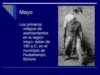 Mayo <ul><li>Los primeros vetigios de asentamientos en la region mayo, datan de 180 a.C. en el municipio de Huatabampo, So...