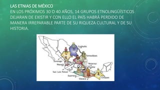 LAS ETNIAS DE MÉXICO
EN LOS PRÓXIMOS 30 O 40 AÑOS, 14 GRUPOS ETNOLINGÜÍSTICOS
DEJARAN DE EXISTIR Y CON ELLO EL PAÍS HABRÁ PERDIDO DE
MANERA IRREPARABLE PARTE DE SU RIQUEZA CULTURAL Y DE SU
HISTORIA.
 