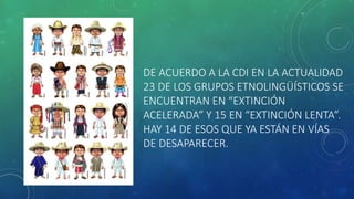 DE ACUERDO A LA CDI EN LA ACTUALIDAD
23 DE LOS GRUPOS ETNOLINGÜÍSTICOS SE
ENCUENTRAN EN “EXTINCIÓN
ACELERADA” Y 15 EN “EXTINCIÓN LENTA”.
HAY 14 DE ESOS QUE YA ESTÁN EN VÍAS
DE DESAPARECER.
 