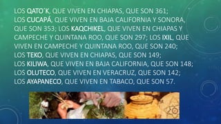 LOS QATO´K, QUE VIVEN EN CHIAPAS, QUE SON 361;
LOS CUCAPÁ, QUE VIVEN EN BAJA CALIFORNIA Y SONORA,
QUE SON 353; LOS KAQCHIKEL, QUE VIVEN EN CHIAPAS Y
CAMPECHE Y QUINTANA ROO, QUE SON 297; LOS IXIL, QUE
VIVEN EN CAMPECHE Y QUINTANA ROO, QUE SON 240;
LOS TEKO, QUE VIVEN EN CHIAPAS, QUE SON 149;
LOS KILIWA, QUE VIVEN EN BAJA CALIFORNIA, QUE SON 148;
LOS OLUTECO, QUE VIVEN EN VERACRUZ, QUE SON 142;
LOS AYAPANECO, QUE VIVEN EN TABACO, QUE SON 57.
 