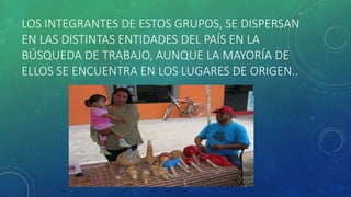 LOS INTEGRANTES DE ESTOS GRUPOS, SE DISPERSAN
EN LAS DISTINTAS ENTIDADES DEL PAÍS EN LA
BÚSQUEDA DE TRABAJO, AUNQUE LA MAYORÍA DE
ELLOS SE ENCUENTRA EN LOS LUGARES DE ORIGEN..
 