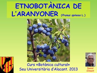 ETNOBOTÀNICA DE
L’ARANYONER (Prunus spinosa L.)

Curs «Botànica cultural»
Seu Universitària d’Alacant. 2013

Daniel
Climent

 