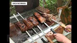 VACA NO BRASIL
 