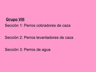 Grupo VIII
Sección 1: Perros cobradores de caza
Sección 2: Perros levantadores de caza
Sección 3: Perros de agua

 