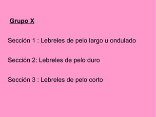 Grupo X
Sección 1 : Lebreles de pelo largo u ondulado
Sección 2: Lebreles de pelo duro
Sección 3 : Lebreles de pelo corto

 