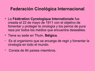 Federación Cinológica Internacional
• La Fédération Cynologique Internationale fue
creada el 22 de mayo de 1911 con el objetivo de
fomentar y proteger la cinología y los perros de pura
raza por todos los medios que encuentra deseables.
• Tiene su sede en Thuin, Bélgica.
•

•

Es el organismo que se encarga de regir y fomentar la
cinología en todo el mundo.
Consta de 84 países miembros.

 