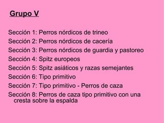 Grupo V
Sección 1: Perros nórdicos de trineo
Sección 2: Perros nórdicos de cacería
Sección 3: Perros nórdicos de guardia y pastoreo
Sección 4: Spitz europeos
Sección 5: Spitz asiáticos y razas semejantes
Sección 6: Tipo primitivo
Sección 7: Tipo primitivo - Perros de caza
Sección 8: Perros de caza tipo primitivo con una
cresta sobre la espalda

 