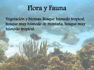 Flora y Fauna
Vegetación y biomas: Bosque húmedo tropical,
bosque muy húmedo de montaña, bosque muy
húmedo tropical.
 