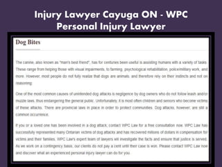 Injury Lawyer Cayuga ON - WPC
Personal Injury Lawyer
 