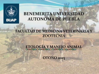 BENEMERITA UNIVERSIDAD
AUTONOMA DE PUEBLA
FACULTAD DE MEDICINA VETERINARIA Y
ZOOTECNIA
ETOLOGÍA Y MANEJO ANIMAL
OTOÑO 2015
 
