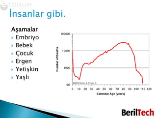 Aşamalar EmbriyoBebekÇocukErgenYetişkinYaşlıİnsanlar gibi.