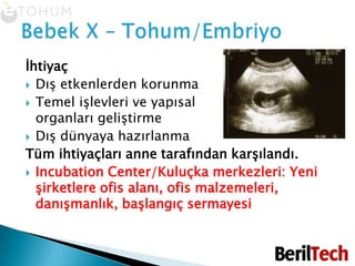 İhtiyaçDış etkenlerdenkorunmaTemel işlevleri ve yapısal organları geliştirmeDış dünyaya hazırlanmaTüm ihtiyaçları anne tarafından karşılandı.Incubation Center/Kuluçka merkezleri: Yeni şirketlere ofis alanı, ofis malzemeleri, danışmanlık, başlangıç sermayesiBebekX – Tohum/Embriyo