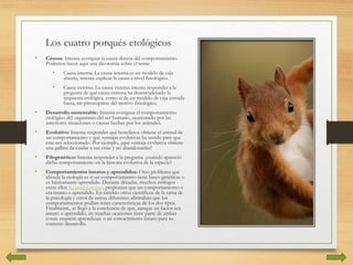 Los cuatro porqués etológicos
• Causas: Intenta averiguar la causa directa del comportamiento.
Podemos hacer aquí una dicotomía sobre el tema:
• Causa interna: La causa interna es un modelo de caja
abierta, intenta explicar la causa a nivel fisiológico.
• Causa externa: La causa externa intenta responder a la
pregunta de qué causa externa ha desencadenado la
respuesta etológica, como si de un modelo de caja cerrada
fuera, sin preocuparse del motivo fisiológico.
• Desarrollo sustentable: Intenta averiguar el comportamiento
etológico del organismo del ser humano, ocasionado por las
anteriores situaciones o causas hechas por los animales.
• Evolutivo: Intenta responder qué beneficios obtiene el animal de
un comportamiento y qué ventajas evolutivas ha tenido para que
este sea seleccionado. Por ejemplo, ¿qué ventaja evolutiva obtiene
una gallina de cuidar a sus crías y no abandonarlas?
• Filogenético: Intenta responder a la pregunta: ¿cuándo apareció
dicho comportamiento en la historia evolutiva de la especie?
• Comportamientos innatos y aprendidos: Otro problema que
aborda la etología es si un comportamiento tiene bases genéticas o
es básicamente aprendido. Durante décadas, muchos etólogos -
entre ellos Konrad Lorenz-, proponían que un comportamiento o
era innato o aprendido. En cambio otros científicos de la rama de
la psicología y otros de ramas diferentes afirmaban que los
comportamientos podían tener características de los dos tipos.
Finalmente, se llegó a la conclusión de que, aunque un factor sea
innato o aprendido, en muchas ocasiones tiene parte de ambas
cosas: requiere aprendizaje o un conocimiento innato para su
correcto desarrollo.
 