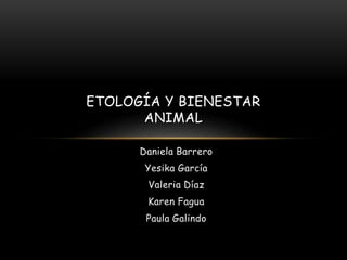 Daniela Barrero
Yesika García
Valeria Díaz
Karen Fagua
Paula Galindo
ETOLOGÍA Y BIENESTAR
ANIMAL
 