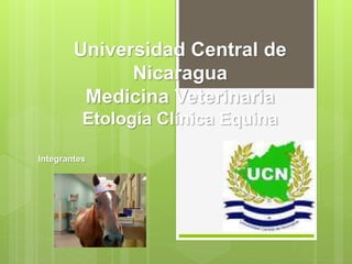 Universidad Central de 
Nicaragua 
Medicina Veterinaria 
Etología Clínica Equina 
Integrantes 
 