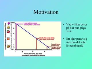 Motivation Vad vi äter beror på hur hungriga vi är Ett djur parar sig inte om det inte är parningstid 