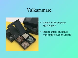 Valkammare Denna är för  Isopoda  (gråsuggor)  Räkna antal som finns i varje miljö över en viss tid 