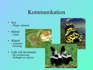 Kommunikation Syn - Färger, mönster Hörsel - Läten Känsel - Antenner - Putsning Lukt och feromoner - Revirmarkering - Doftspår (ex myror) 
