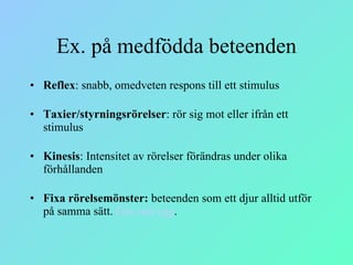 Ex. på medfödda beteenden Reflex : snabb, omedveten respons till ett stimulus  Taxier/styrningsrörelser : rör sig mot eller ifrån ett stimulus  Kinesis : Intensitet av rörelser förändras under olika förhållanden  Fixa rörelsemönster:  beteenden som ett djur alltid utför på samma sätt.  Gås och ägg .  