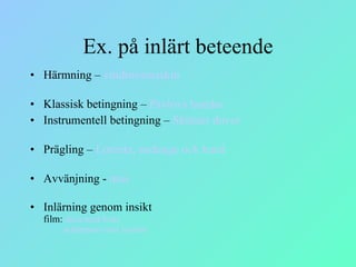 Ex. på inlärt beteende Härmning –  vindruvsmaskin   Klassisk betingning –  Pavlovs hundar Instrumentell betingning –  Skinner duvor Prägling –  Lorentz,   andunge och hund Avvänjning -  mus Inlärning genom insikt  film:   duva med frukt     schimpans med jordnöt 
