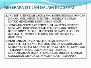 BEBERAPA ISTILAH DALAM ETOGRAM
a. INGESTIF. TINGKAH LAKU YANG BERHUBUNGAN DENGAN
   MAKAN, MERUMPUT, MENYUSU, MENJILATI GARAM
   UNTUK MEMENUHI KEBUTUHAN HIDUP
b. PENCARIAN TEMPAT BERTEDUH (SHELTER-SEEKING).
   MENCARI LINGKUNGAN TAU TEMPAT YANG OPTIMAL
   BAGI DIRINYA, MISAL : BERTEDUH DI BAWAH POHON
   (MAMALIA), MENCARI POHON UNTUK BERSARANG
   (BURUNG).
c. PENYIDIKAN (INVESTIGATORY). MERUPAKAN
   KARAKTERISTIK YANG PENTING UNTUK MEMUDAHKAN
   MEREKA MELIHAT KEADAAN BAHAYA ATAU MENEMUKAN
   TEMANNYA, MISAL : MENGANGKAT KEPALA,
   MENGARAHKAN MATA, TELINGA DAN HIDUNG KEARAH
   GANGGUAN, MENCIUM DAN MENJILATI TEMANNYA.
 