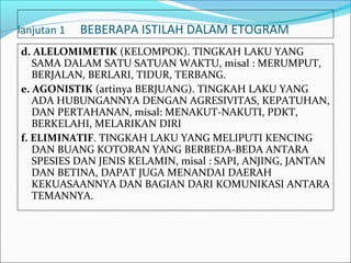 lanjutan 1   BEBERAPA ISTILAH DALAM ETOGRAM
d. ALELOMIMETIK (KELOMPOK). TINGKAH LAKU YANG
   SAMA DALAM SATU SATUAN WAKTU, misal : MERUMPUT,
   BERJALAN, BERLARI, TIDUR, TERBANG.
e. AGONISTIK (artinya BERJUANG). TINGKAH LAKU YANG
   ADA HUBUNGANNYA DENGAN AGRESIVITAS, KEPATUHAN,
   DAN PERTAHANAN, misal: MENAKUT-NAKUTI, PDKT,
   BERKELAHI, MELARIKAN DIRI
f. ELIMINATIF. TINGKAH LAKU YANG MELIPUTI KENCING
   DAN BUANG KOTORAN YANG BERBEDA-BEDA ANTARA
   SPESIES DAN JENIS KELAMIN, misal : SAPI, ANJING, JANTAN
   DAN BETINA, DAPAT JUGA MENANDAI DAERAH
   KEKUASAANNYA DAN BAGIAN DARI KOMUNIKASI ANTARA
   TEMANNYA.
 