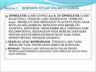 lanjutan 2   BEBERAPA ISTILAH DALAM ETOGRAM

g. EPIMELETIK (CARE GIVING) dan h. ET-EPIMELETIK (CARE-
   SOLICITING). TINGKAH LAKU KEINDUKAN / KEIBUAN,
   misal : MENJILATI DAN MENGGIGIT PLACENTA PADA ANAK
   SETELAH MELAHIRKAN, MENCIUM DAN MENJILATI
   ANAKNYA, BERTERIAK /MENGEMBIK BILA TERPISAH DARI
   KELOMPOKNYA, SEDANGKAN PADA BURUNG DAN KERA
   HEWAN JANTAN MENUNJUKKAN SIFAT YANG SAMA
   SEPERTI BETINA TEHADAP ANAKNYA.
i. SEKSUAL ATAU REPRODUKSI. TINGKAH LAKU YANG
   BERAGAM YANG DIPERLUKAN SEBELUM KOPULASI.
j. BERMAIN. TNGKAH LAKU HEWAN MUDA DALAM PROSES
   MEMPELAJARI BEBERAPA KEJADIAN YANG BERGUNA KELAK PADA
   SAAT DEWASA.
 