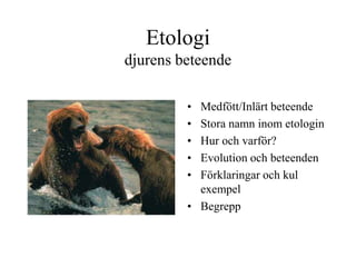 Etologi
djurens beteende
• Medfött/Inlärt beteende
• Stora namn inom etologin
• Hur och varför?
• Evolution och beteenden
• Förklaringar och kul
exempel
• Begrepp
 