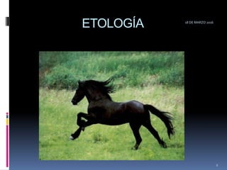 ETOLOGÍA 18 DE MARZO 2016
2
 