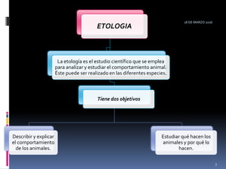 ETOLOGIA
Tiene dos objetivos
Describir y explicar
el comportamiento
de los animales.
Estudiar qué hacen los
animales y por qué lo
hacen.
La etología es el estudio científico que se emplea
para analizar y estudiar el comportamiento animal.
Éste puede ser realizado en las diferentes especies.
18 DE MARZO 2016
3
 