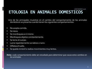 ETOLOGIA EN ANIMALES DOMESTICOS
Uno de las principales muestras en el cambio del comportamiento de los animales
domésticos se presenta cuando tienen los siguientes comportamientos:
 No acepta comida.
 Se rasca.
 Se mordisquea a sí mismo.
 Mordisquea objetos constantemente.
 Se lame el cuerpo.
 Lame repetidamente sus labios o nariz.
 Olfatea el suelo.
 Se queda inmóvil o realiza movimientos muy lentos.
Nota: cada comportamiento debe ser estudiado para determinar que causa estos cambios en
los animales.
18 DE MARZO 2016
6
 