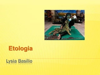 Etologia 
Lysia Basílio 
 