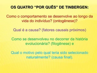 OS QUATRO “POR QUÊS” DE TINBERGEN:
Como o comportamento se desenvolve ao longo da
vida do indivíduo? (ontogênese)?
Qual é a causa? (fatores causais próximos)
Como se desenvolveu no decorrer da história
evolucionária? (filogênese) e
Qual o motivo pelo qual teria sido selecionado
naturalmente? (causa final).