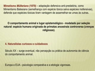 Mimetismo Mülleriano (1879) – adaptação defensiva anti-predatória, como 
Mimentismo Batesiano (semelhança com espécie tóxica salva espécies inofensivas), 
defende que espécies tóxicas tiram vantagem de assemelhar-se umas às outras. 
O comportamento animal e lugar epistemológico - modelado por seleção 
natural: espécie humana originada de primatas ancestrais controversa (crenças 
religiosas). 
4. Naturalistas curiosos e cuidadosos 
Século XX – surge eventual, não percepção ou prática de autonomia de ciência 
do comportamento animal. 
Europa e EUA - psicologia comparativa e a etologia vigorosas. 
 