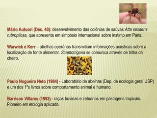 Mário Autuori (Déc. 40): desenvolvimento das colônias de saúvas Atta sexdens 
rubropilosa, que apresenta em simpósio internacional sobre instinto em Paris. 
Warwick e Kerr – abelhas operárias transmitiam informações acústicas sobre a 
localização de fonte alimentar. Scaptotrigona se comunica através de trilha de 
cheiro. 
Paulo Nogueira Neto (1984) - Laboratório de abelhas (Dep. de ecologia geral USP) 
e um dos 1ºs livros sobre comportamento animal e humano. 
Barrison Villares (1992) - raças bovinas e zebuínas em pastagens tropicais. 
Pioneiro em etologia aplicada. 
 