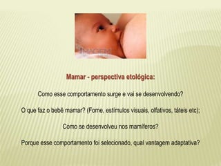 Mamar - perspectiva etológica: 
Como esse comportamento surge e vai se desenvolvendo? 
O que faz o bebê mamar? (Fome, estímulos visuais, olfativos, táteis etc); 
Como se desenvolveu nos mamíferos? 
Porque esse comportamento foi selecionado, qual vantagem adaptativa? 
 
