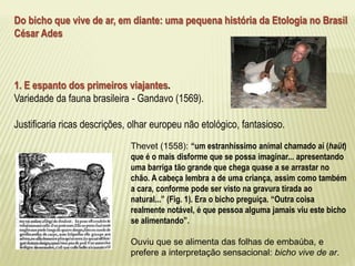 Do bicho que vive de ar, em diante: uma pequena história da Etologia no Brasil 
César Ades 
1. E espanto dos primeiros viajantes. 
Variedade da fauna brasileira - Gandavo (1569). 
Justificaria ricas descrições, olhar europeu não etológico, fantasioso. 
Thevet (1558): “um estranhíssimo animal chamado aí (haüt) 
que é o mais disforme que se possa imaginar... apresentando 
uma barriga tão grande que chega quase a se arrastar no 
chão. A cabeça lembra a de uma criança, assim como também 
a cara, conforme pode ser visto na gravura tirada ao 
natural...” (Fig. 1). Era o bicho preguiça. “Outra coisa 
realmente notável, é que pessoa alguma jamais viu este bicho 
se alimentando”. 
Ouviu que se alimenta das folhas de embaúba, e 
prefere a interpretação sensacional: bicho vive de ar. 
 