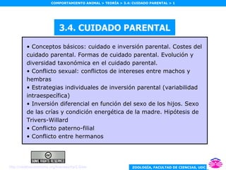 3.4. CUIDADO PARENTAL ,[object Object],[object Object],[object Object],[object Object],[object Object],[object Object],http:// creativecommons.org / licenses /by/2.0/es/ 