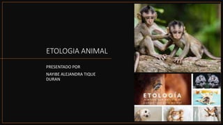ETOLOGIA ANIMAL
PRESENTADO POR
NAYIBE ALEJANDRA TIQUE
DURAN
 